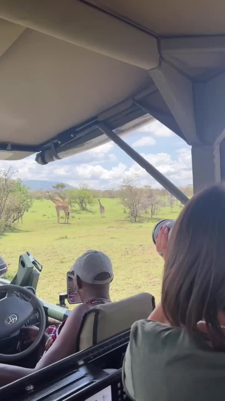 Experience Kenya from a Giraffe’s View - Masai Mara Safari