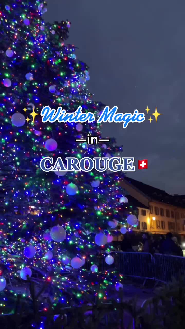 Carouge Magique: Eco-Friendly Winter Celebration