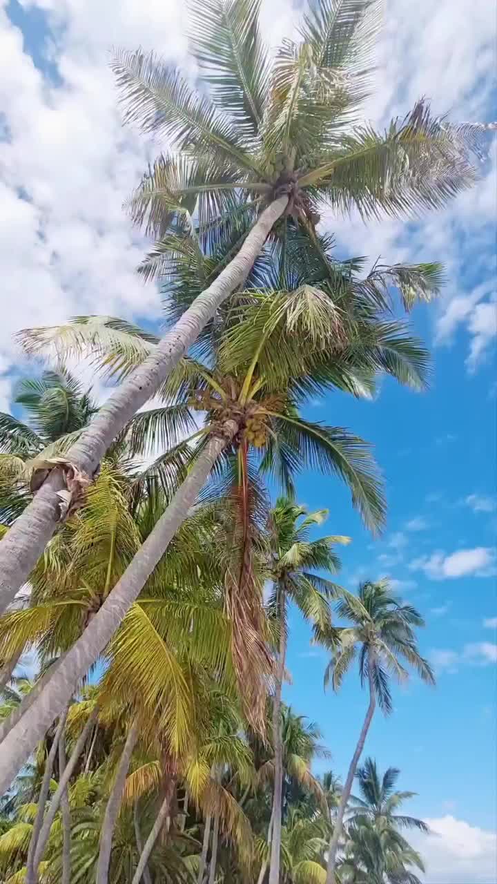Florida Keys: Your Tropical Paradise Awaits
