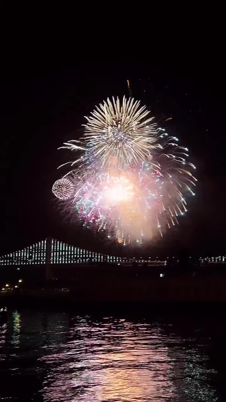 San Francisco New Year 2023 Fireworks Display