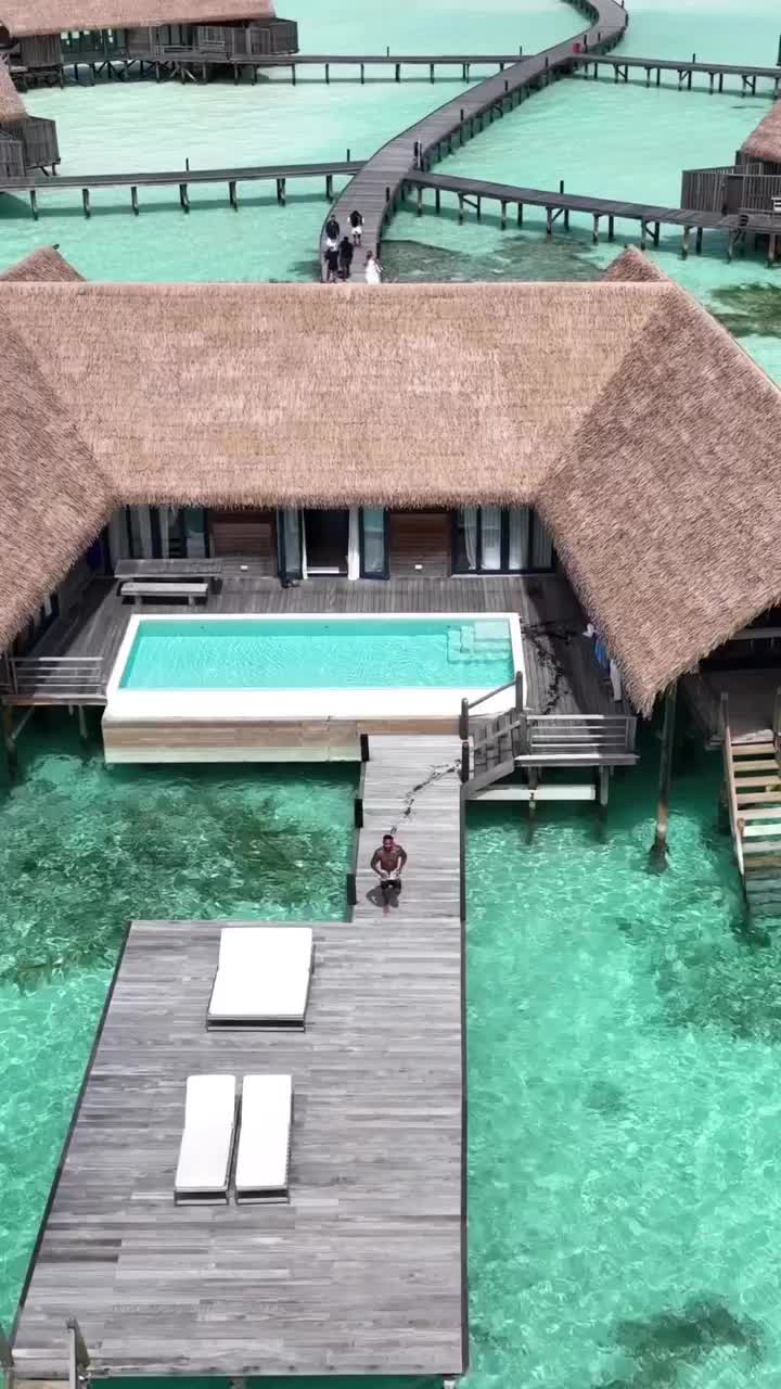 Dive into Luxury at COMO Cocoa Island, Maldives