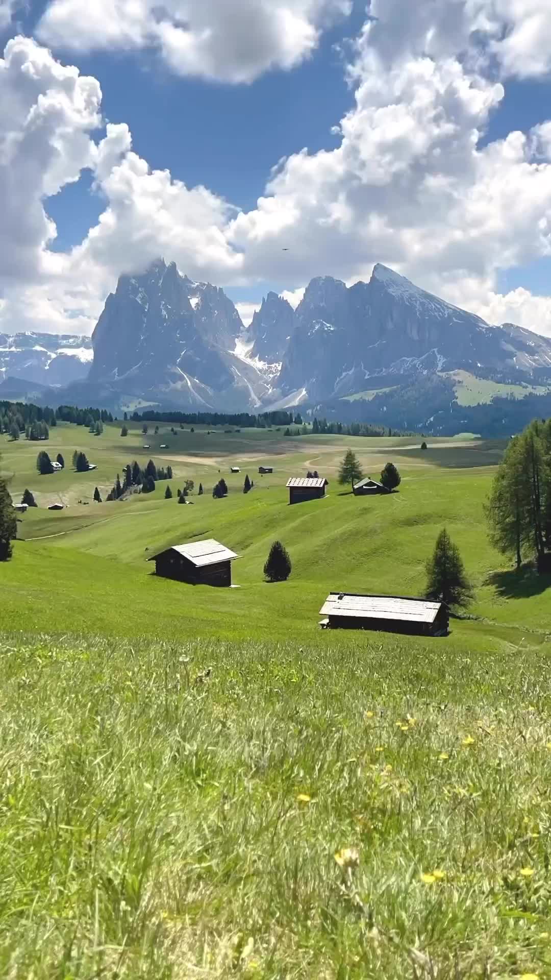 Magic of Nature in Alpe di Siusi, Italy 🌿