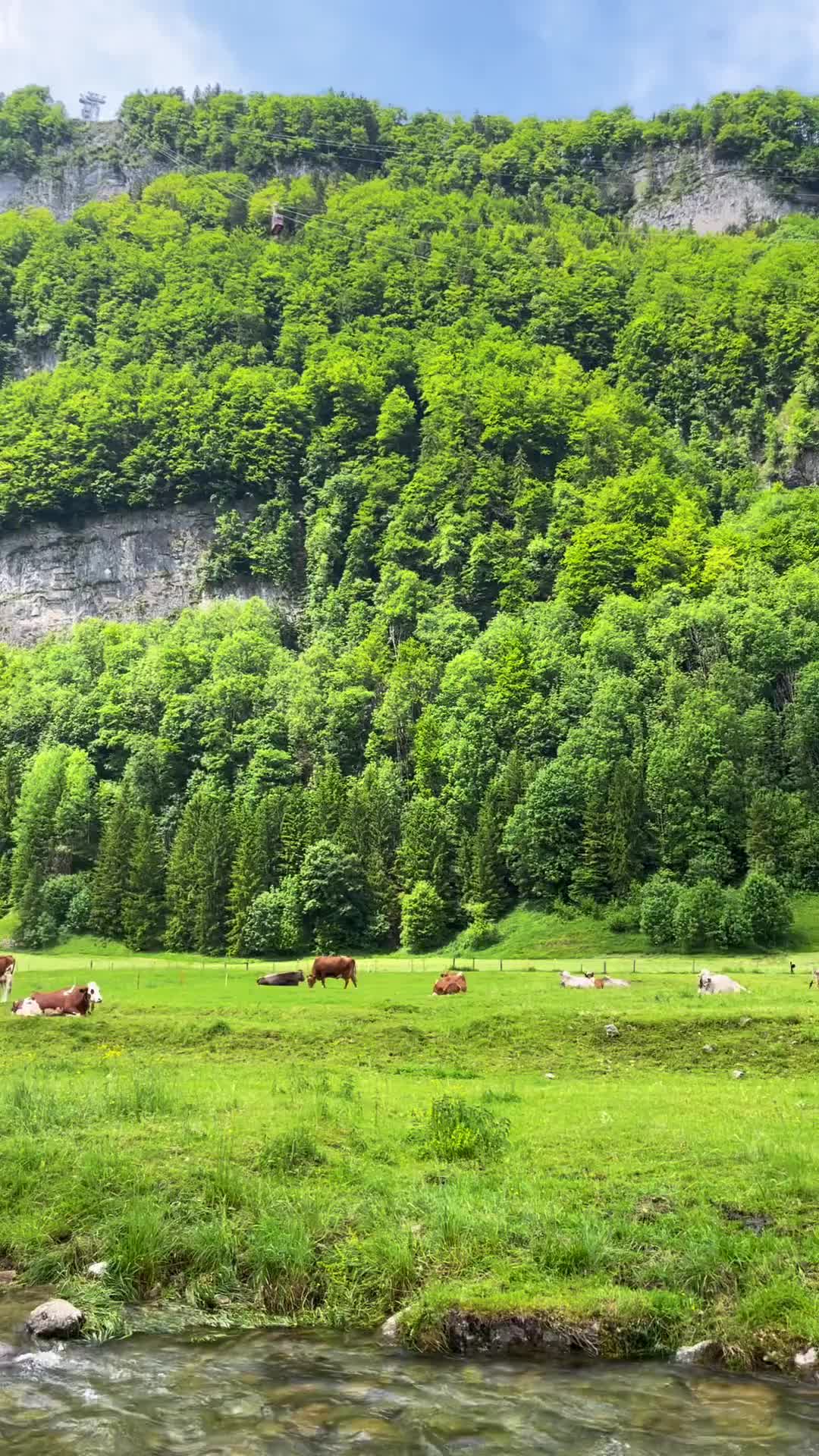 Discover Appenzell: A Natural Paradise in Switzerland