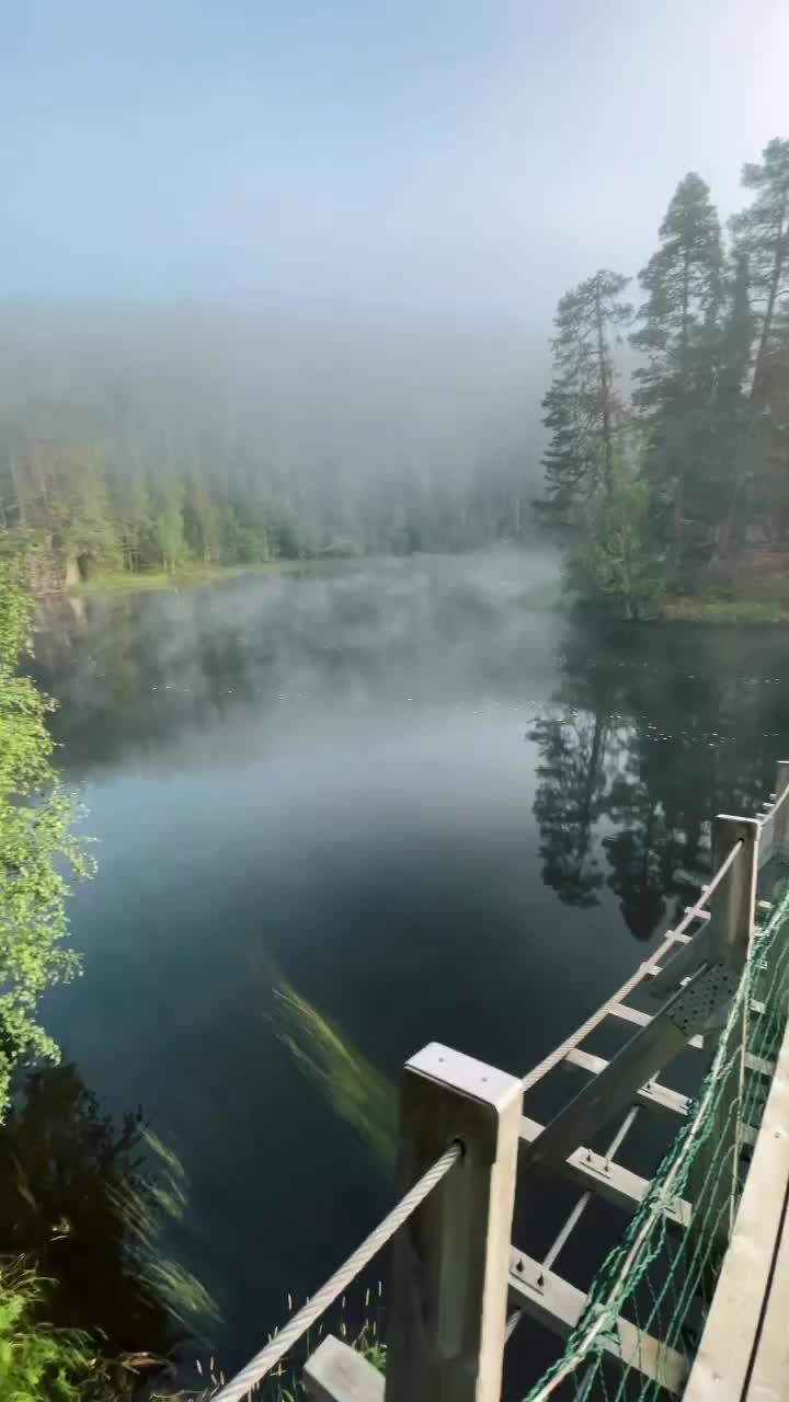 Solitude in Oulanka National Park, Finland