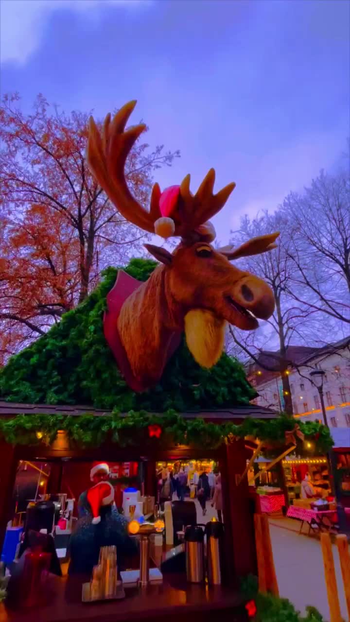 Merry Christmas from Oslo's Best Holiday Spots! 🎄