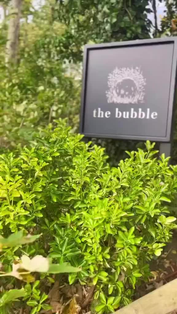 Luxury Staycation at The Bubble, Port Lympne - UK Retreats