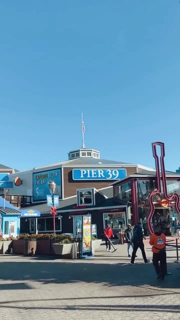 Discover Pier 39: Sealions, Views & More in San Francisco