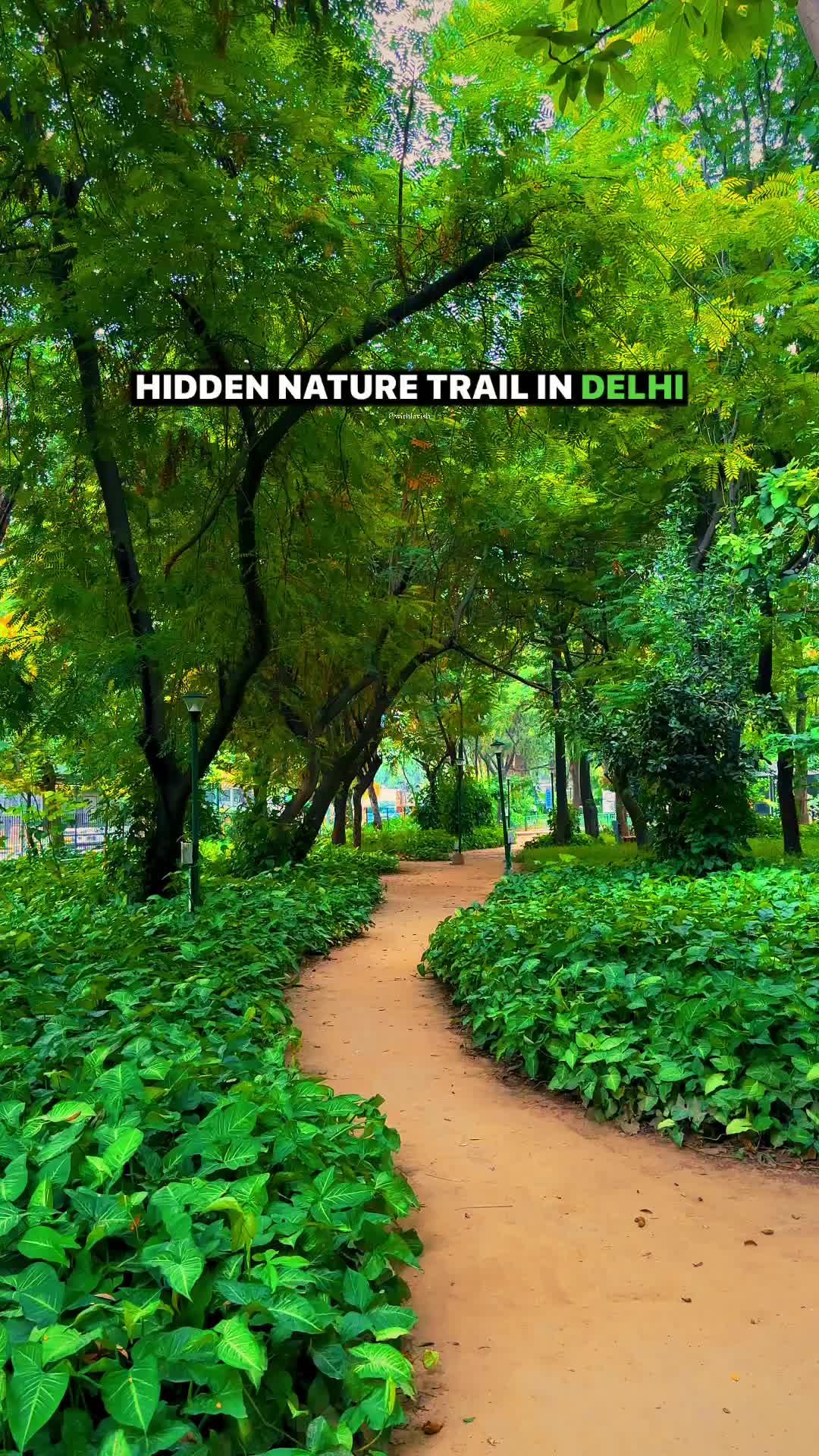 Discover the Hidden Green Oasis in New Delhi 🌳📸