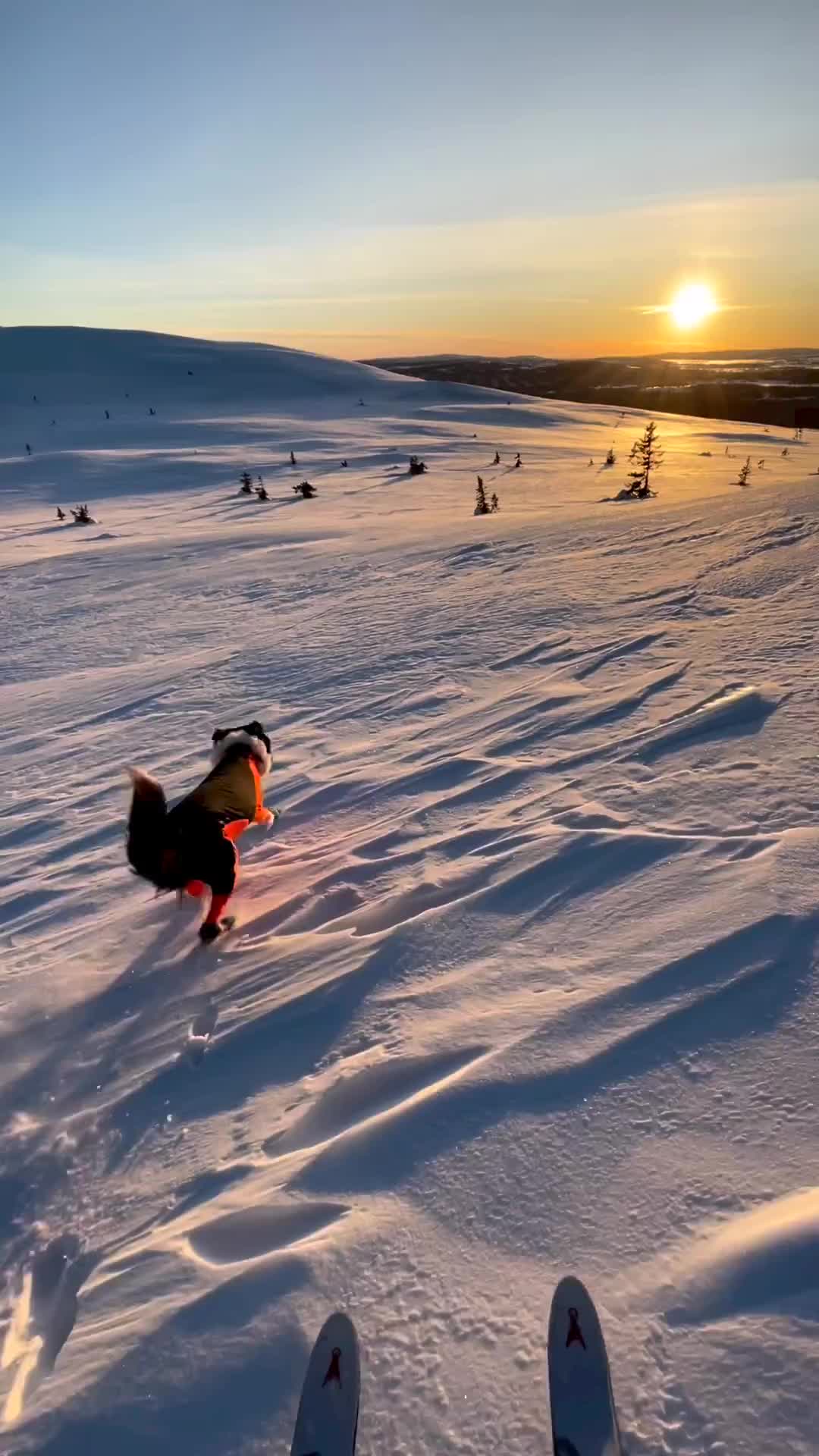 Backcountry Skiing with Jess in Øyungen, Norway