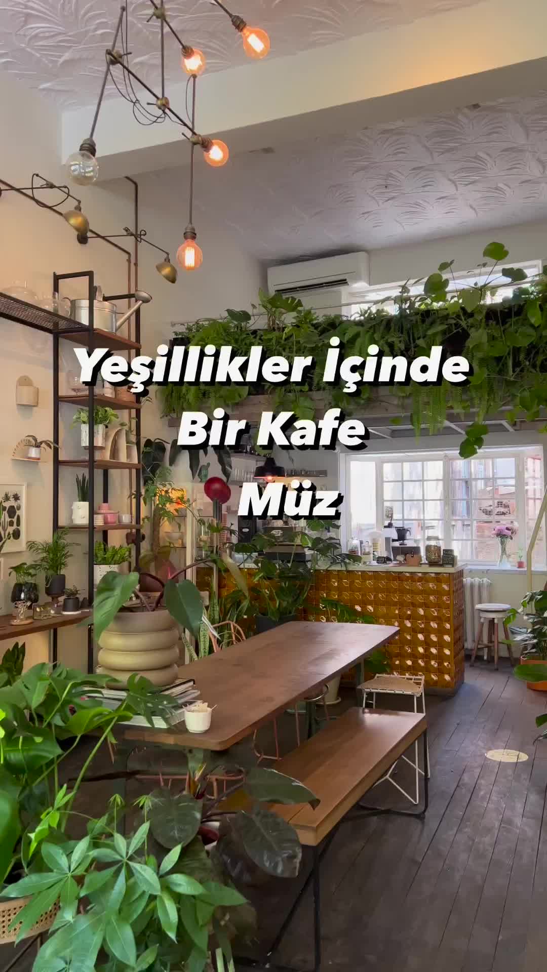 Cozy Botanic Cafe in Çukurcuma: Vegan Treats & More
