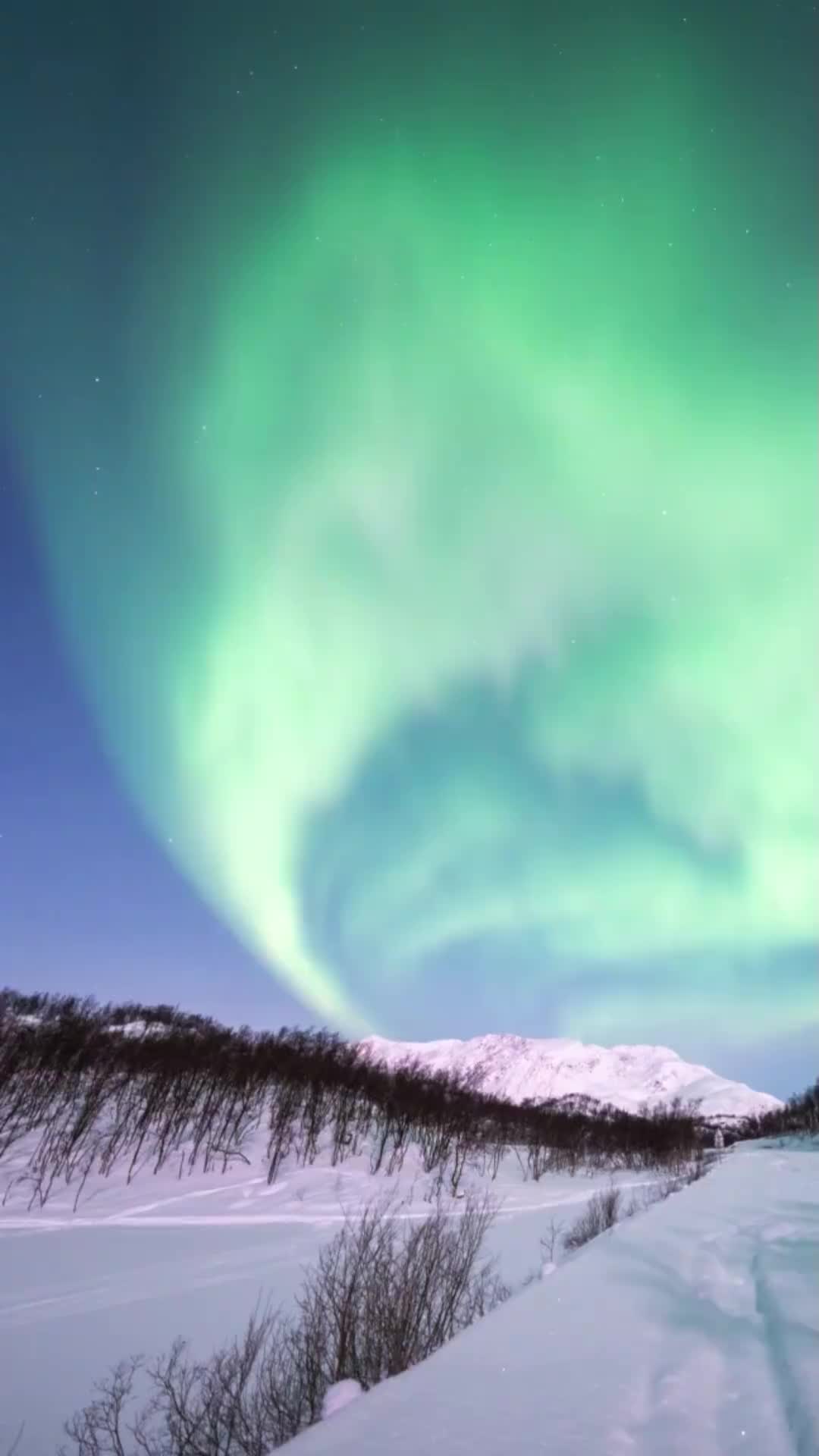 Magical Winter Night with Northern Lights in Norway