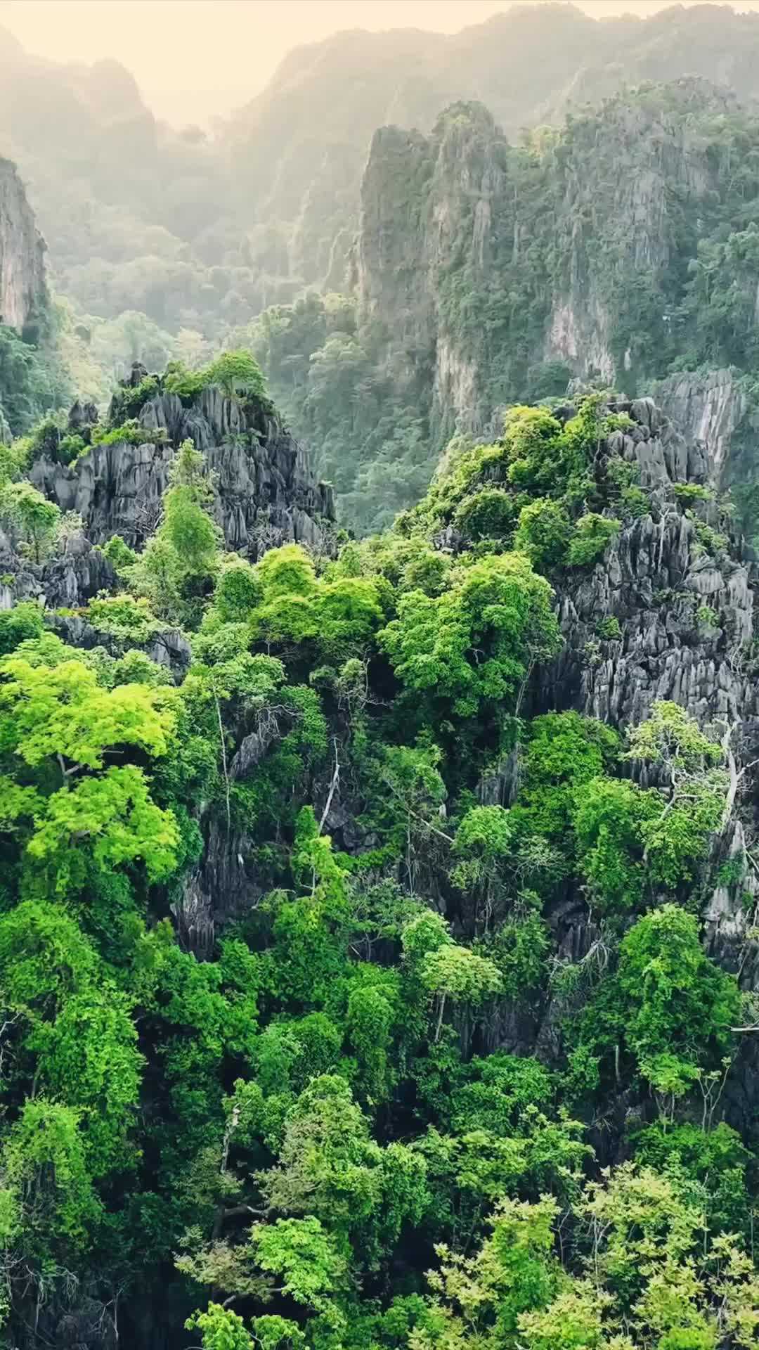 Pristine Jungles of Phitsanulok, Thailand
