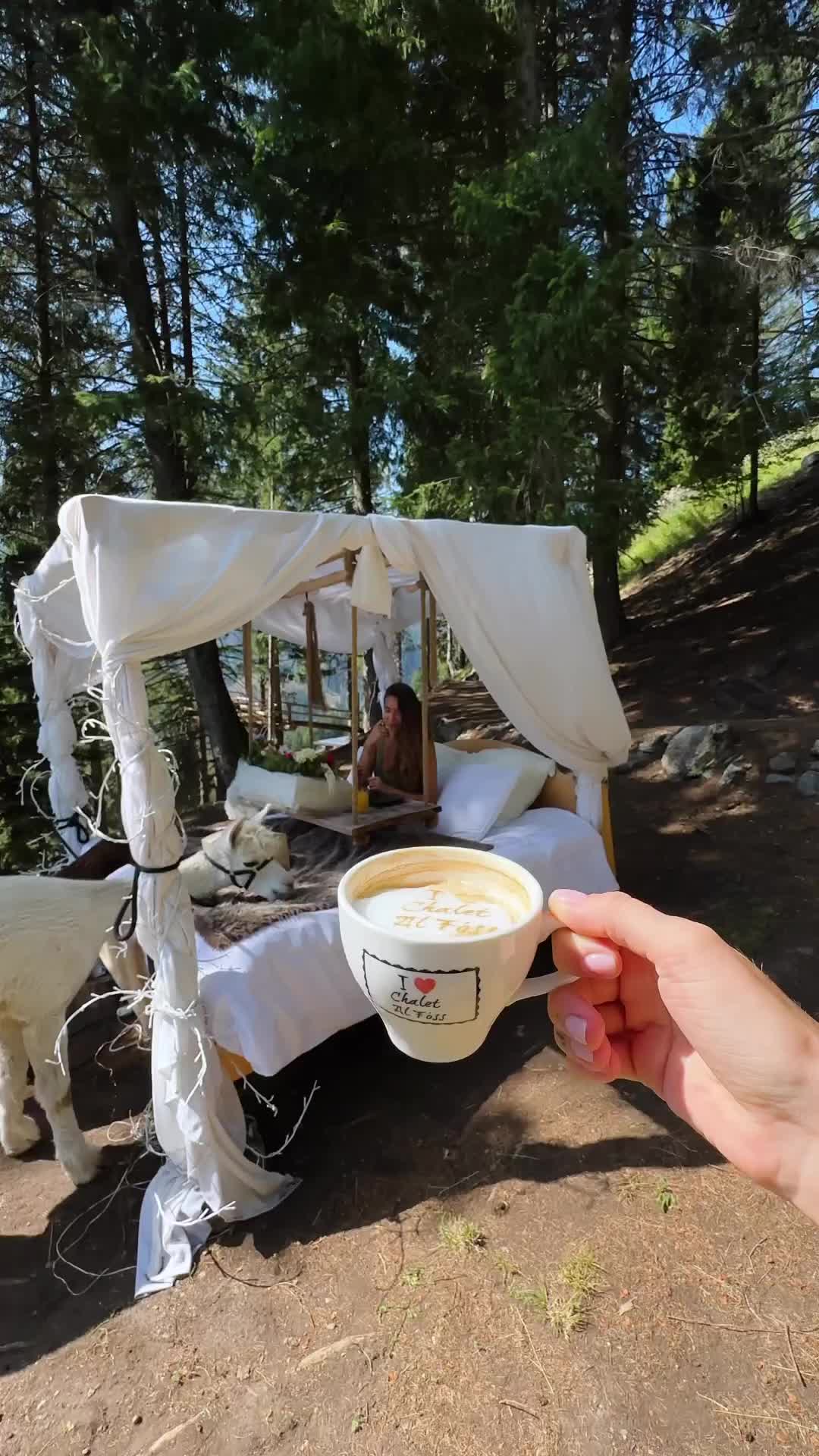 Breakfast in Bed with Alpacas at Chalet al Foss