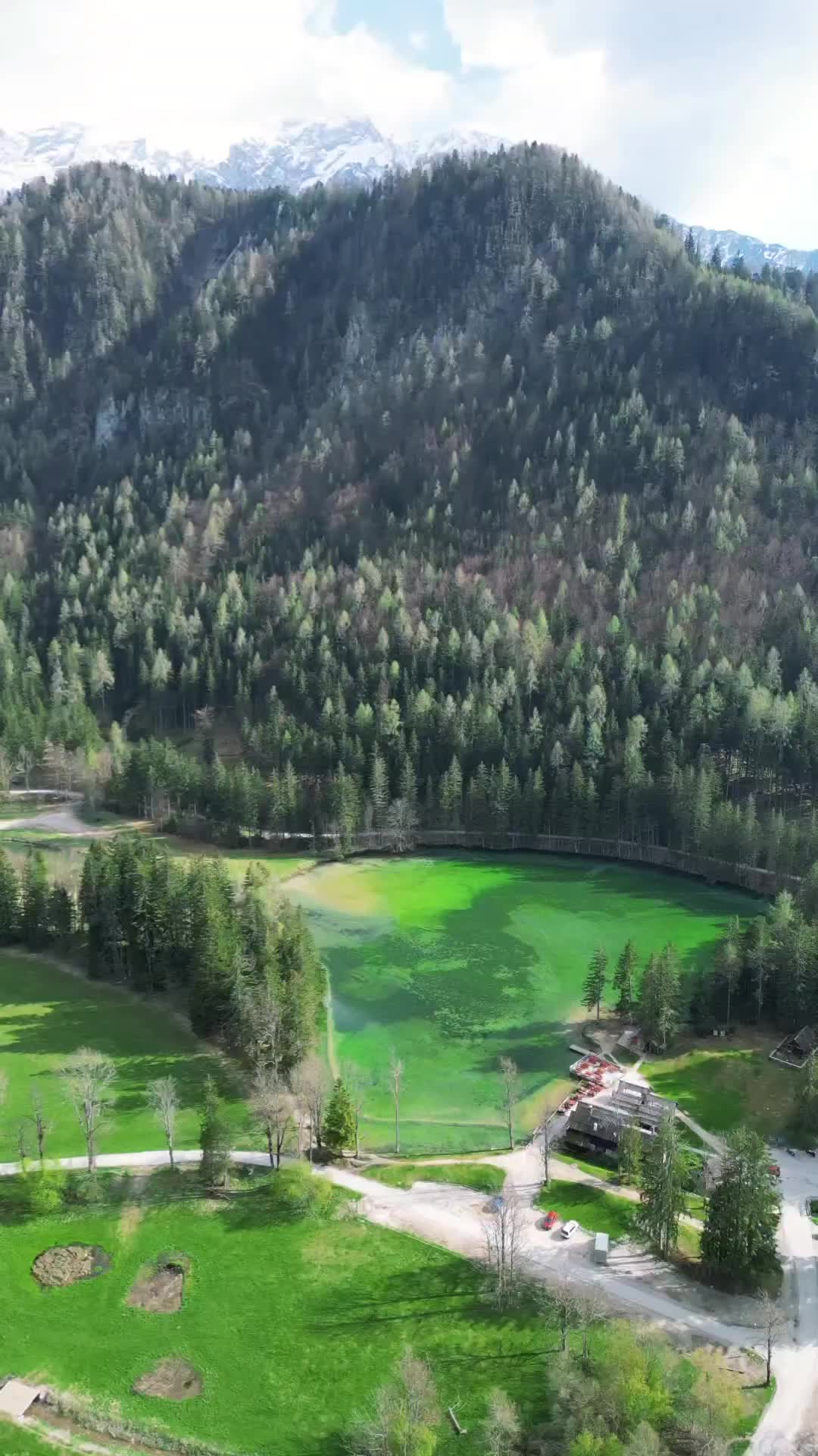 Discover the Beauty of Planšarsko Jezero, Slovenia