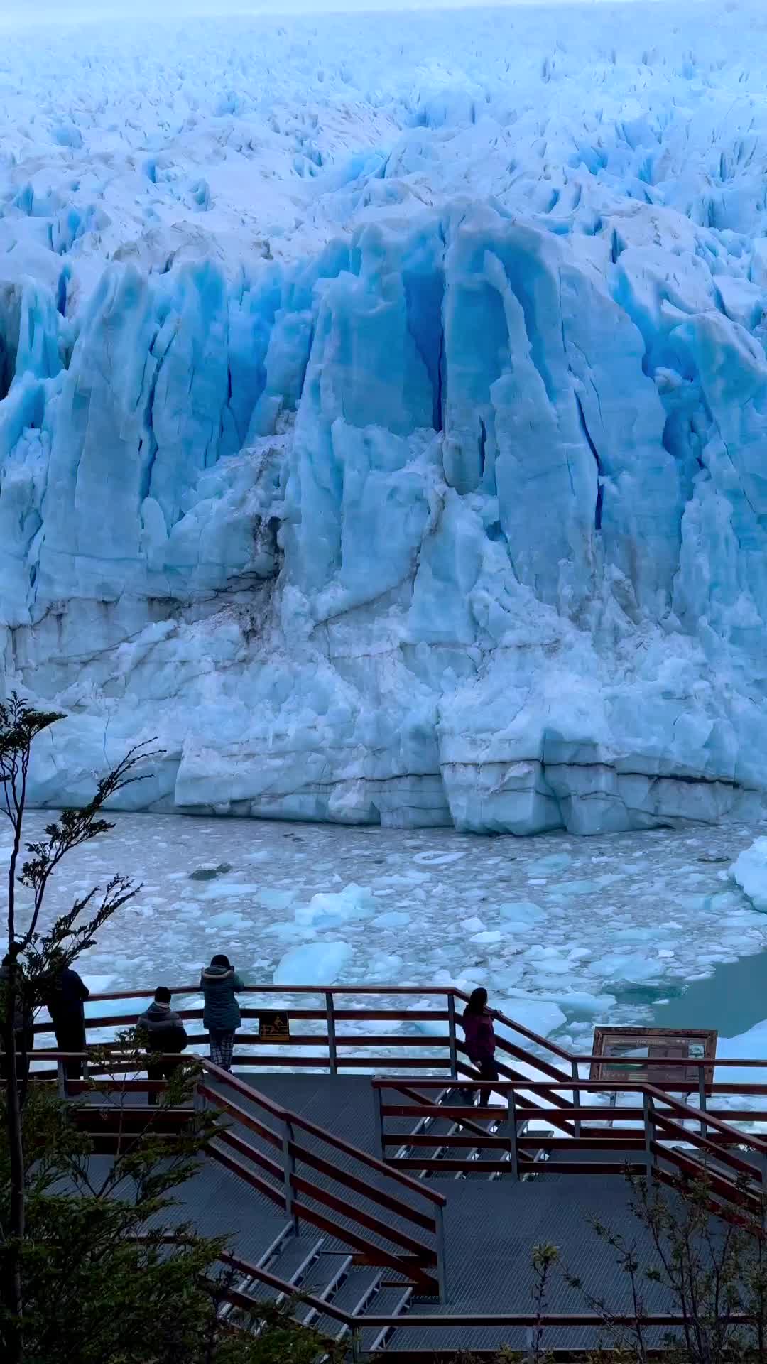 Discover the Majestic Perito Moreno Glacier in Argentina