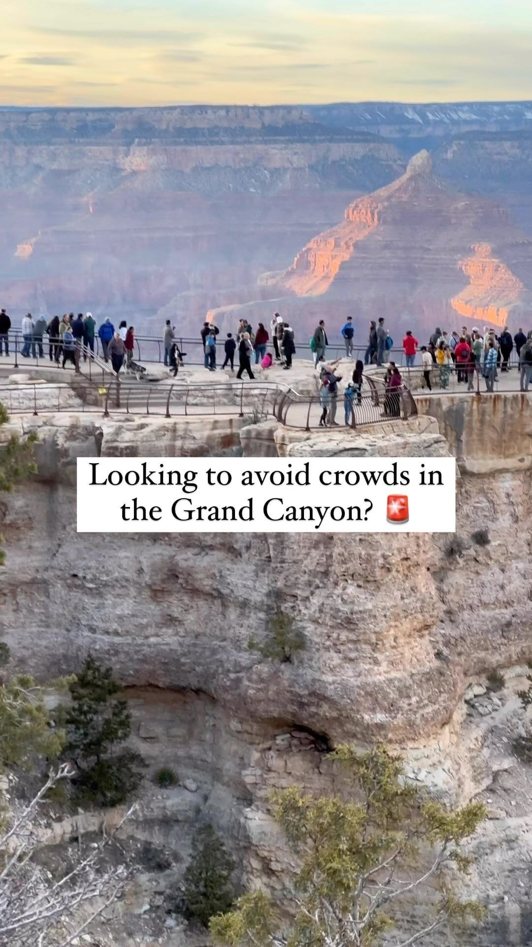 Grand Canyon Adventure and Culinary Delights