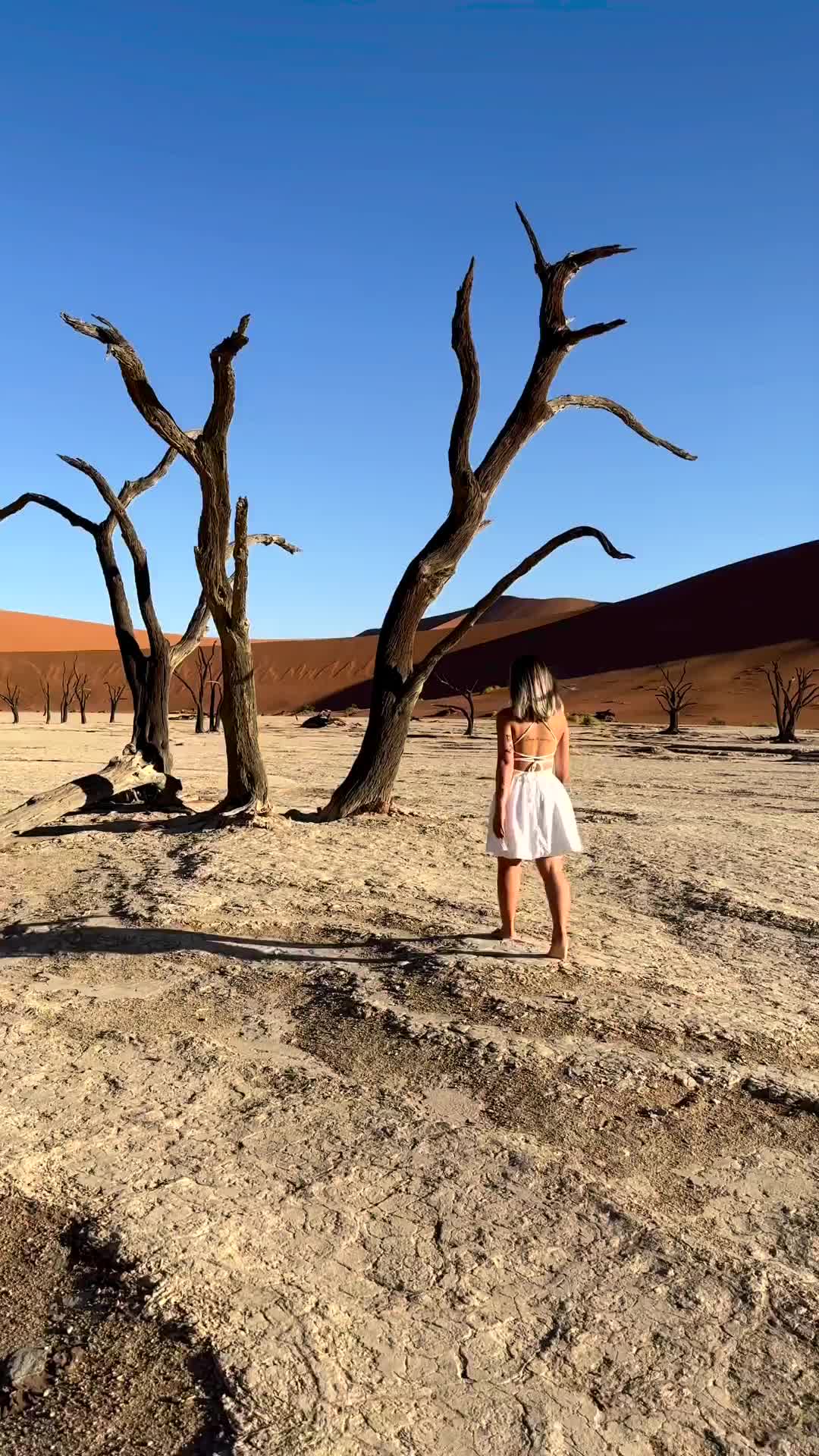 Discover Deadvlei: Namibia's Desert Gem