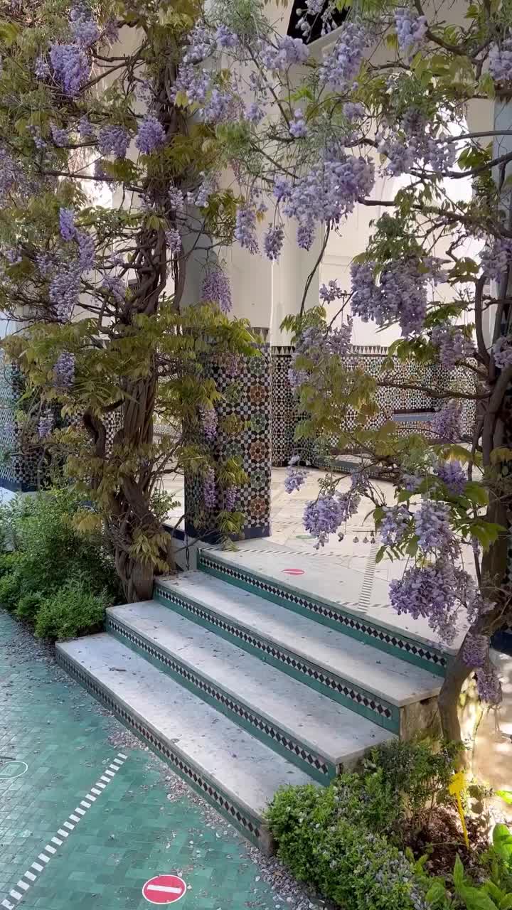 Discover Paris' Hidden Gem: The Great Mosque & Wisterias