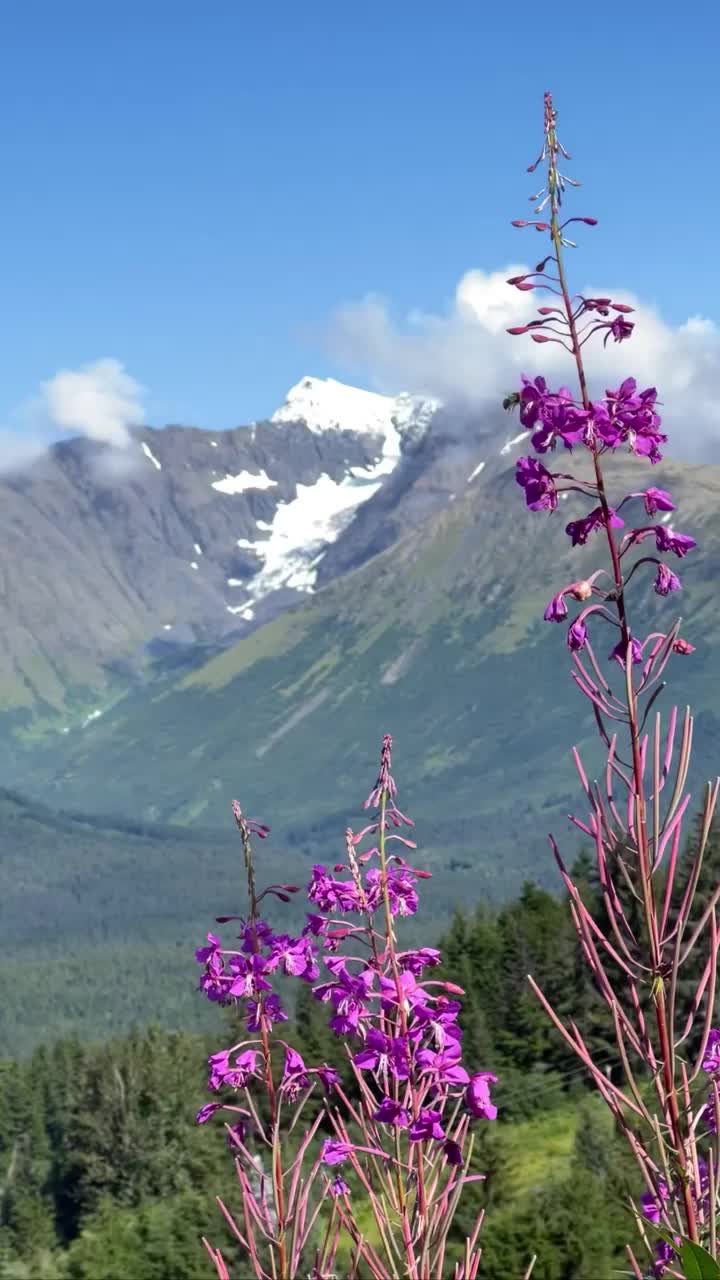 Fresh Snow Adventures at Alyeska Mountain, Alaska