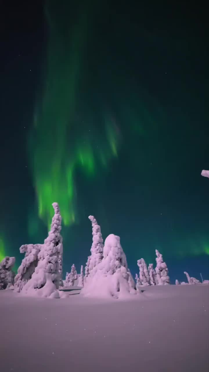 My Winning Moment Under the Northern Lights in Finland