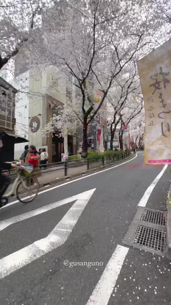 Sakura around Shibuya city 🌸🌿🏙
.
.
.
.
.
.
#shibuya #sakuratokyo #someiyoshino #そめいよしの #japanwaits #amazingjapan #unknownjapan #bestphoto_japan #japanphoto #jp_gallery #wu_japan #japan_daytime_view #japantravel #tokyo #東京旅行 #japantrip #japandailies #myjapan #japanvacation