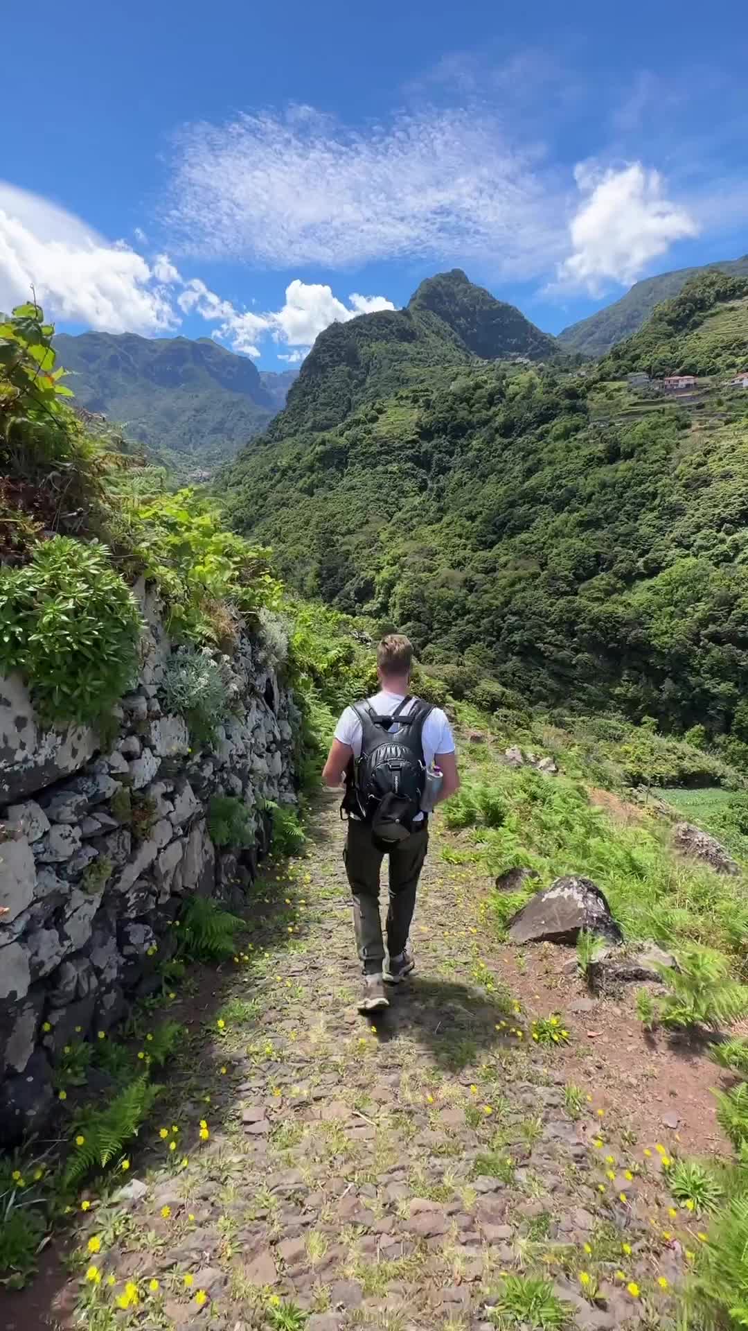 Hiking in Madeira: Dreamlike Landscapes Await