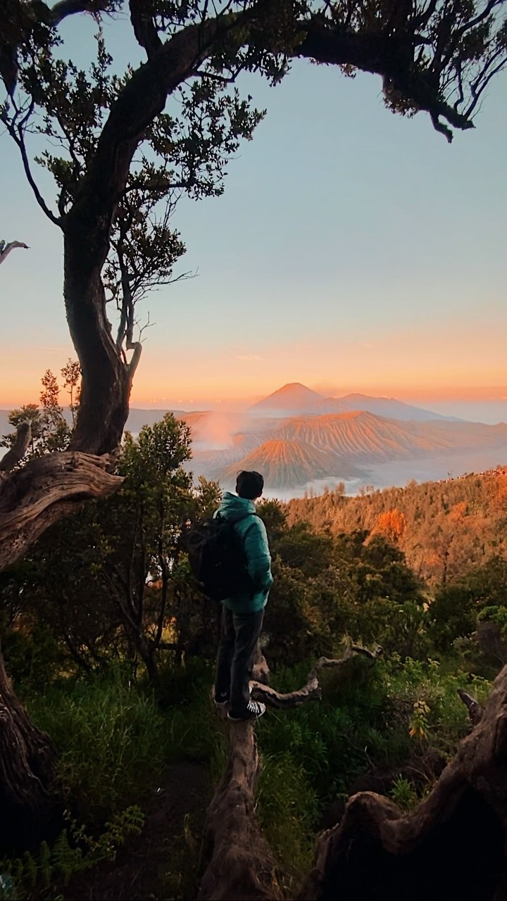 Ngadisari, Indonésie