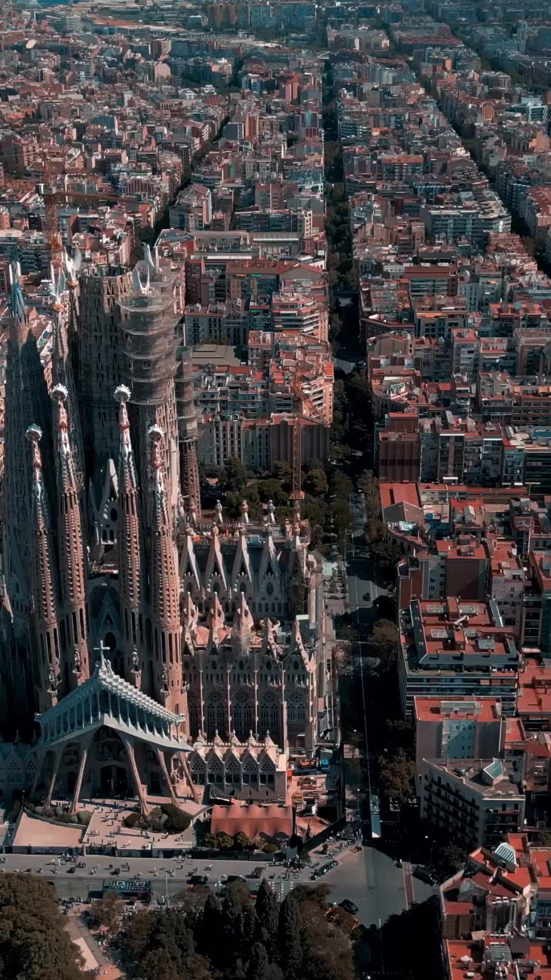 Discover Sagrada Familia: Barcelona's Iconic Landmark