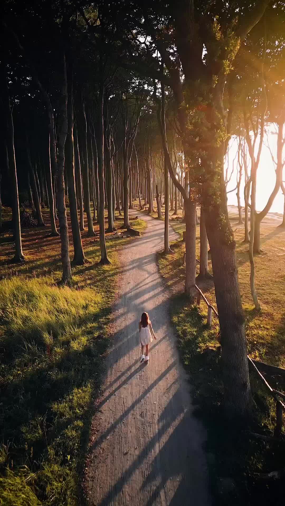 Magical Sunset Skate in Rügen's Enchanting Forest