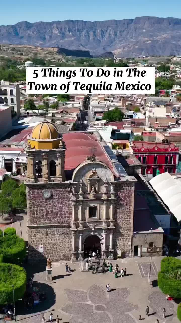 5 Must-Do Activities in Tequila, Mexico 🇲🇽