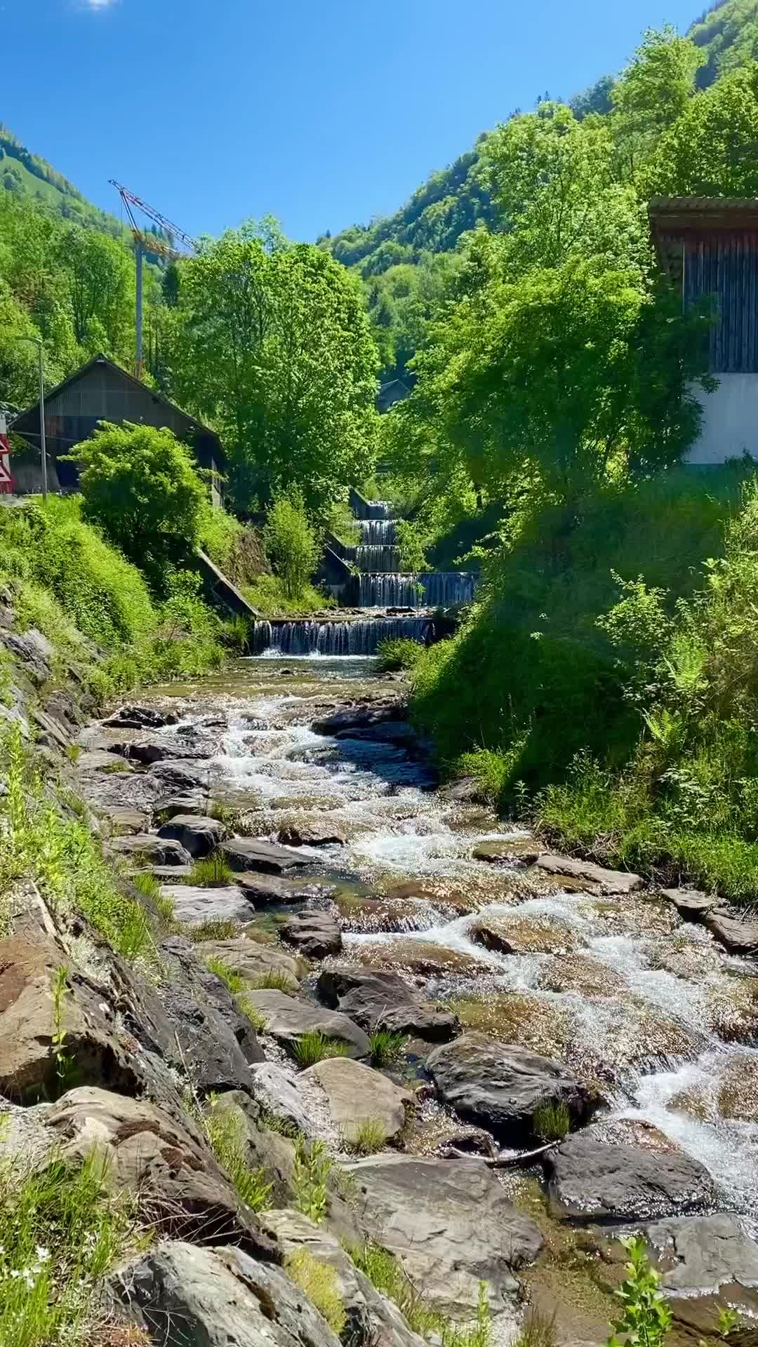 Crystal Clear Stream in Sisikon, Switzerland 🌊🇨🇭