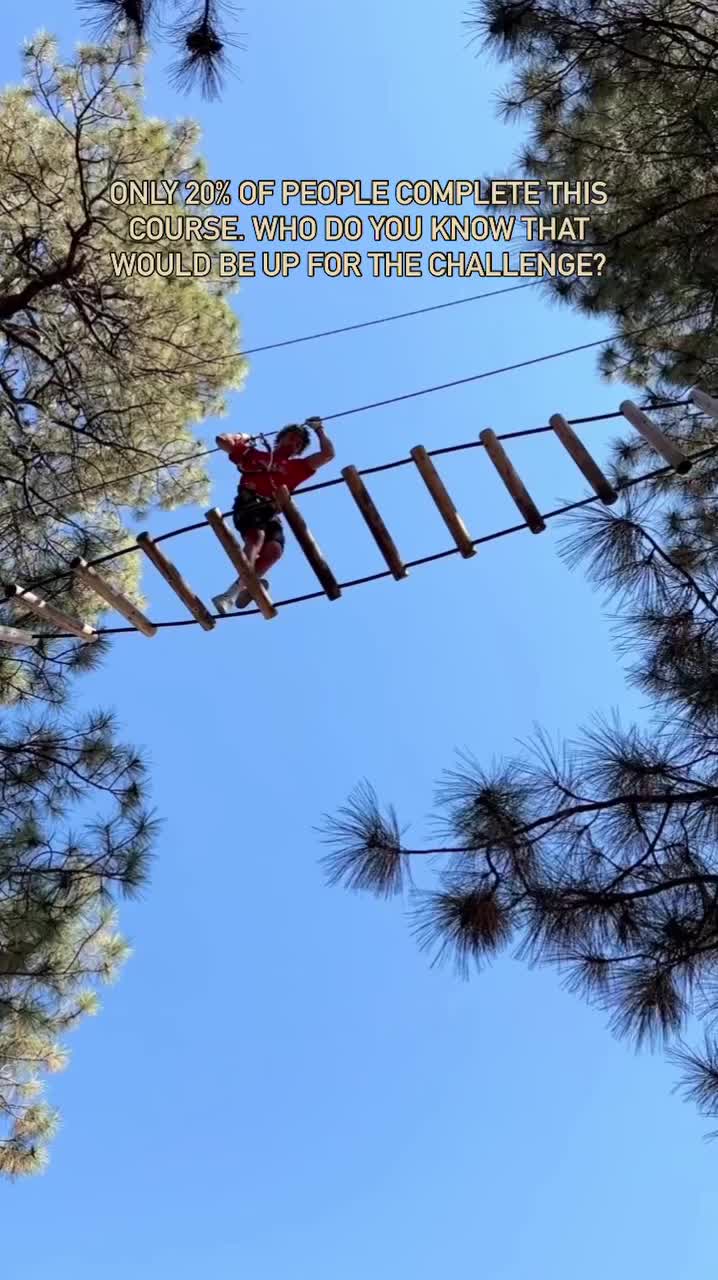 Fun & Challenging Treetop Adventure in Flagstaff for Teens
