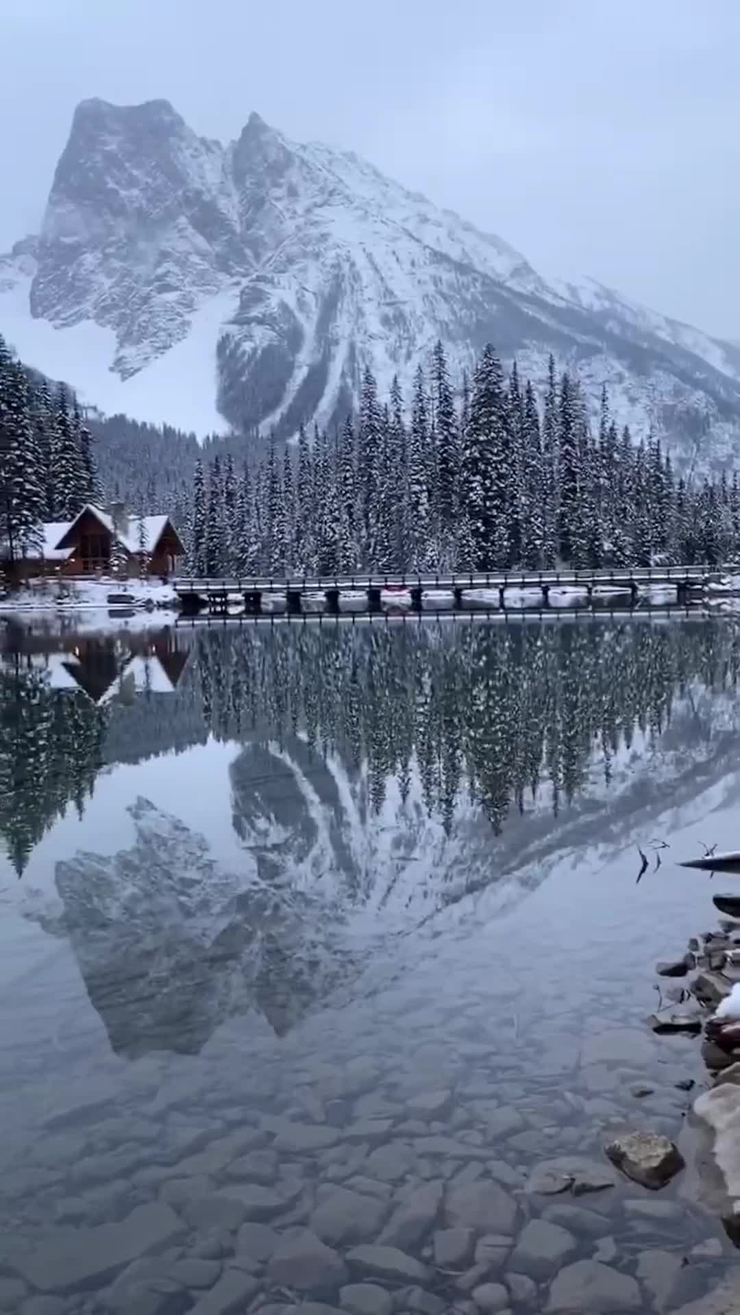 Experience Christmas Magic in Banff, Alberta 🎄