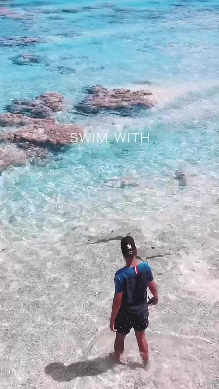 Swim with Sharks in Tikehau, French Polynesia