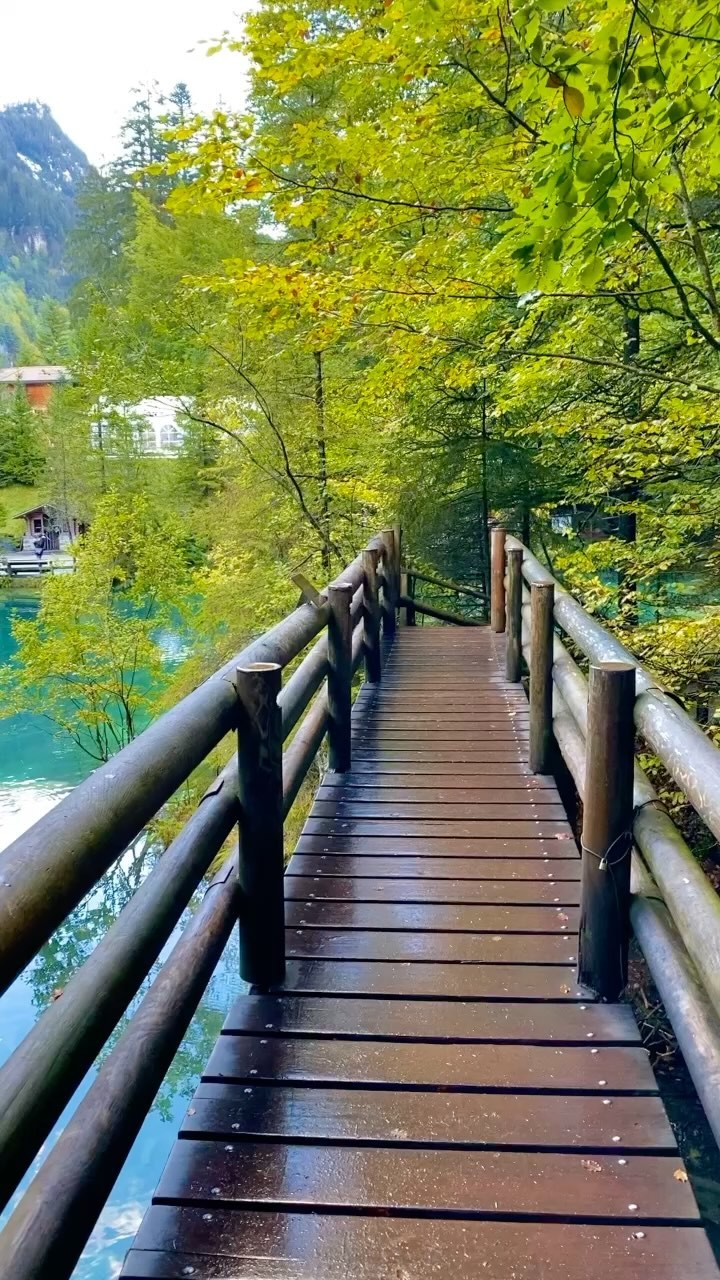 Lake Blausee Canton Bern 🇨🇭
Is this the most beautiful Lake in Canton Bern?

The Blausee Nature park is a juwel of rare Beauty 😍
Entry for aduls cost Just 10 swiss Francs and for Kids from 6-15 years cost only 6 Francs 

The entrance includes Nature park tour visit of the organic trout farm Barbecue area,Playground and Boat trip until 5Pm
Enjoy your weekend everyone 

📍Blausee,Canton Bern 🇨🇭