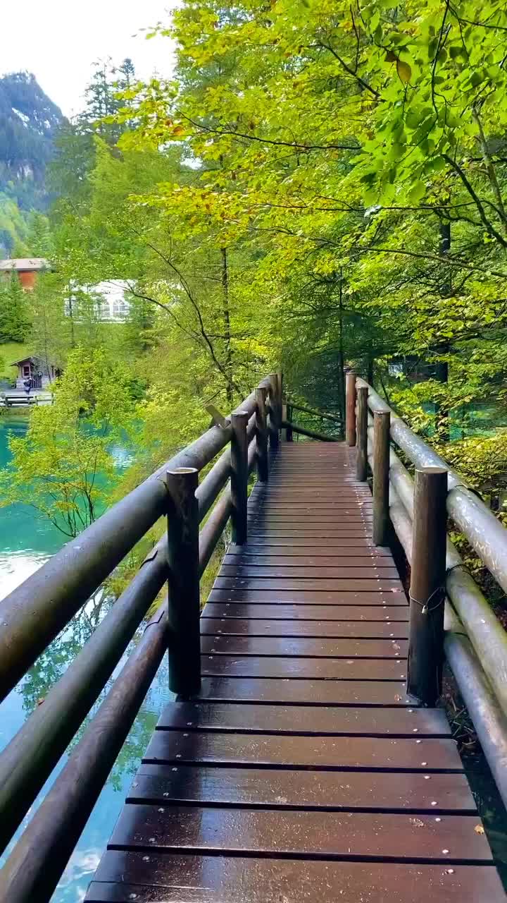 Discover the Beauty of Lake Blausee in Canton Bern