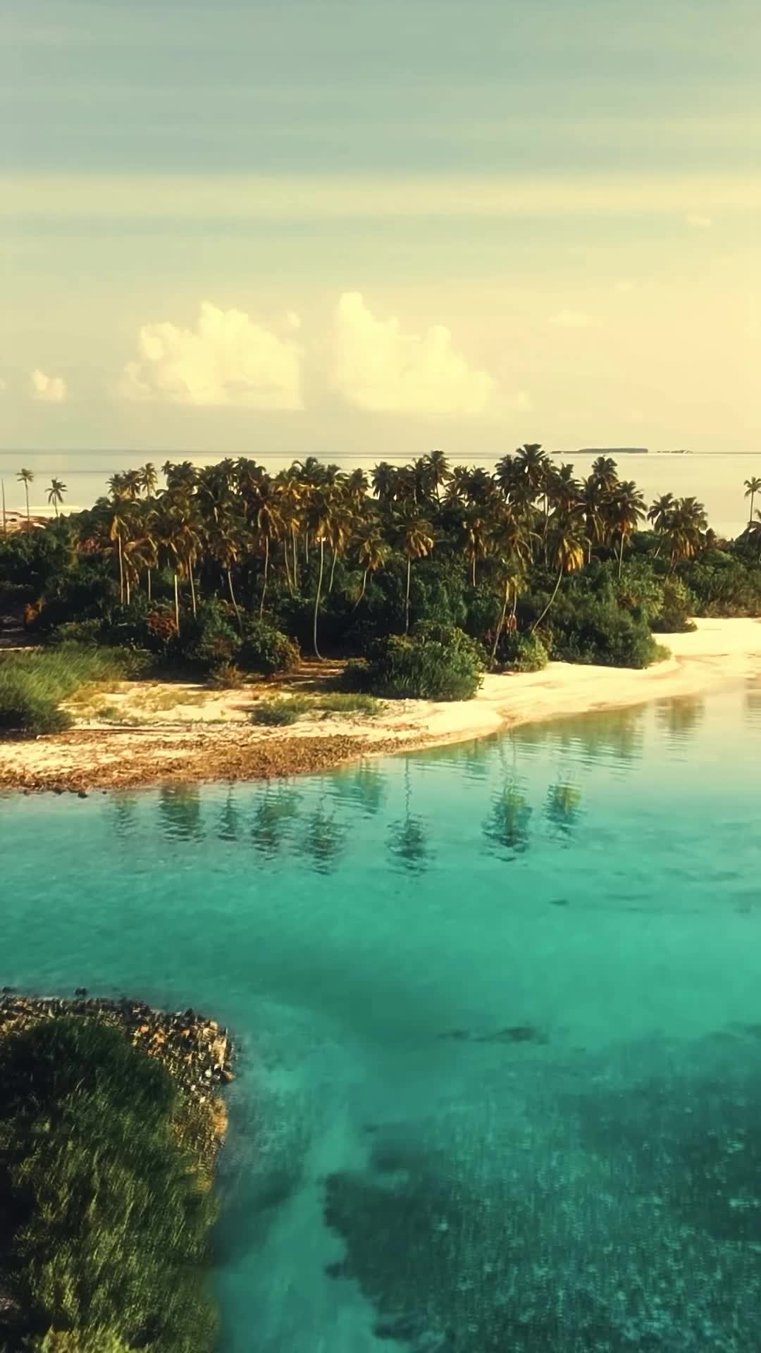 Memories of the Maldives: 8 Unforgettable Months