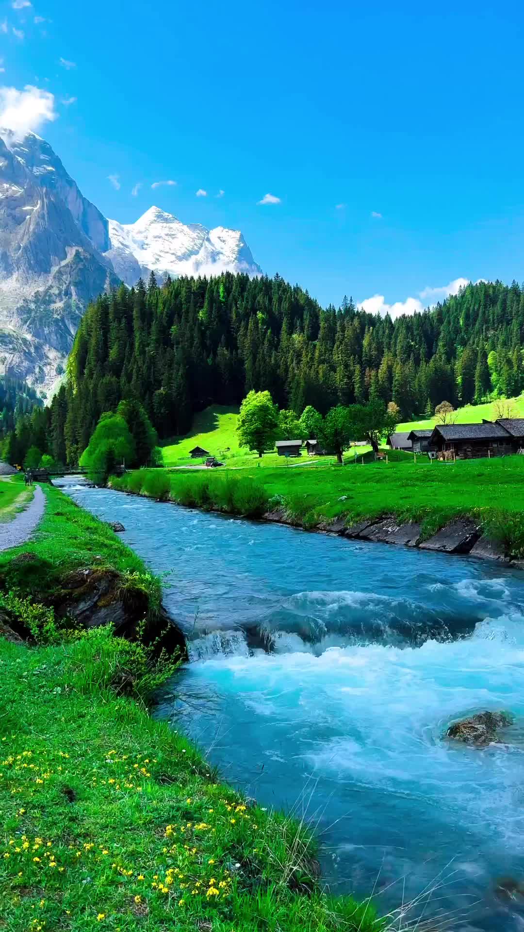 Heaven or Paradise? Discover Rosenlaui Valley, Switzerland