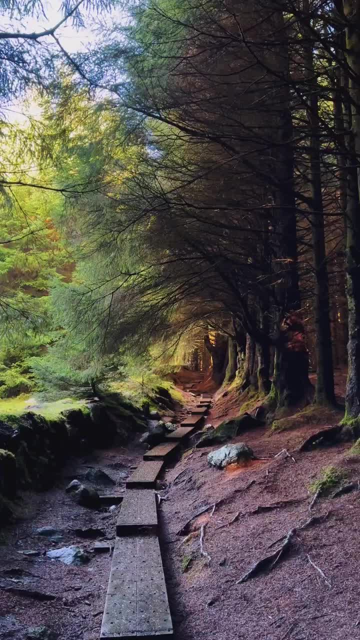 Magical Ballinastoe Walk: Explore Wicklow Mountains