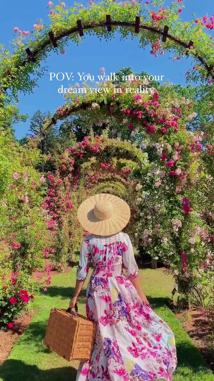 Explore Elizabeth Park: A Dreamy Rose Garden Getaway