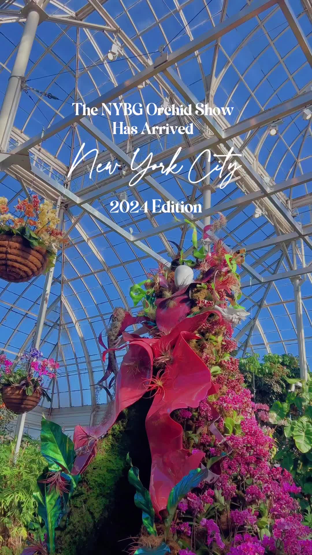 Save the dates🌺🌿The Orchid Show @nybg officially opens today. 
Step into a world full of vibrant colors and tropical flowers, and you will feel that spring in New York is not far away. 
✨Share & Tag someone who you want to visit here with.
📍New York Botanical Garden: Feb 17- April 21
·
·
·
· #prettycitynewyork #explorenyc #nybucketlist #mysecretnyc #nycspring #newyorknewyork #newyorkarea 
·
·
·NYC travel, New York City, NYC things to do, hidden gem, NYC spring, NYC date ideas