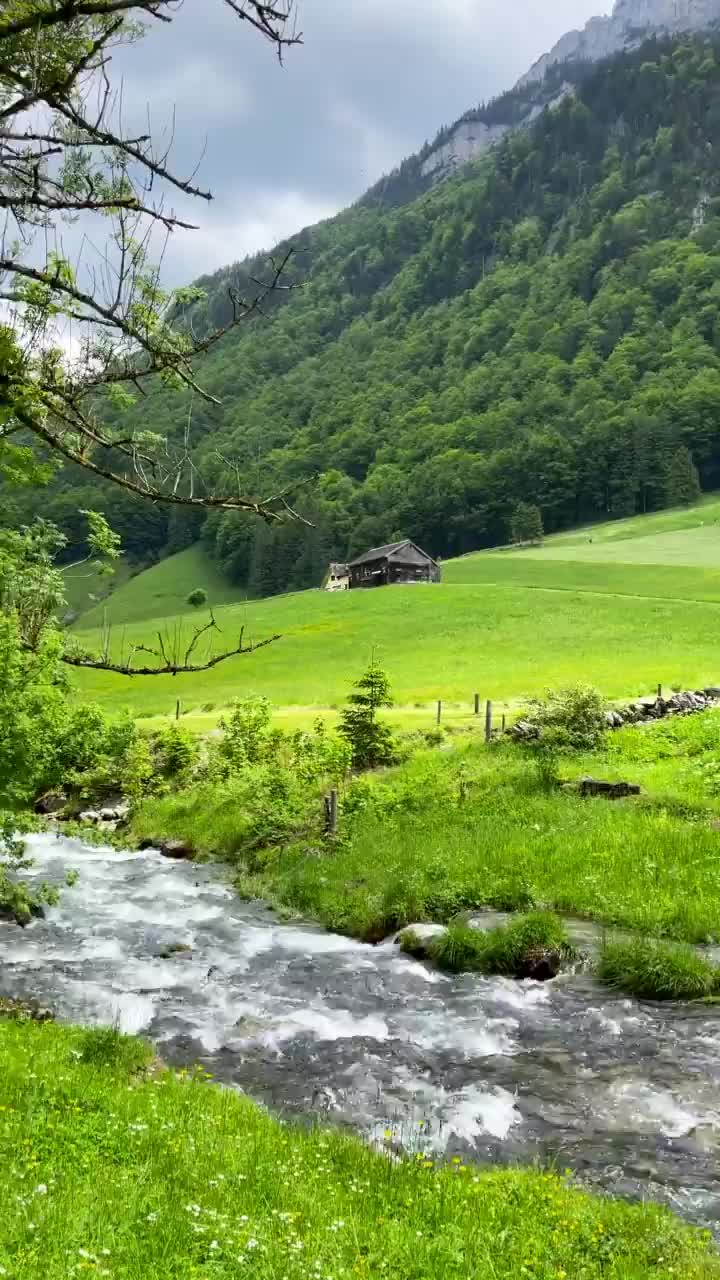 No Filters Needed: Stunning Appenzell, Switzerland 🌳✨