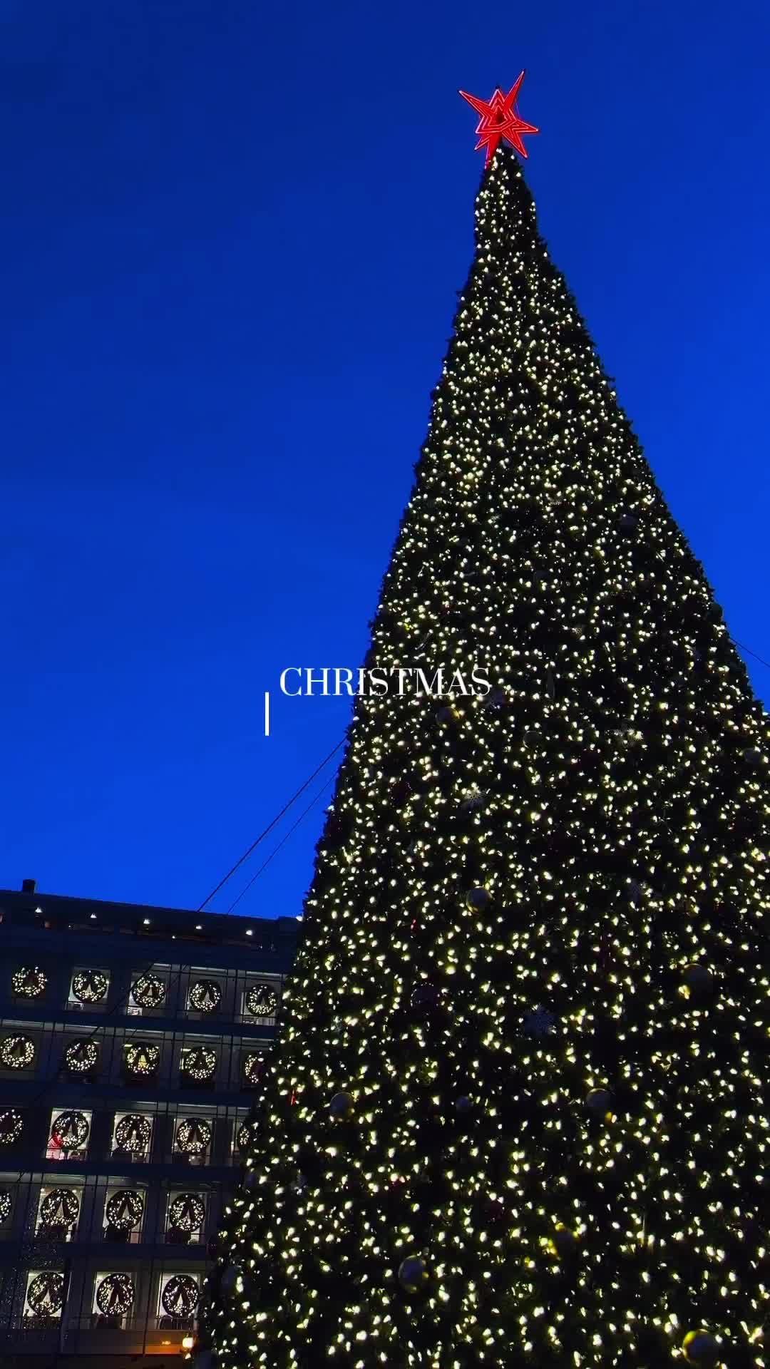 Christmas in Union Square: San Francisco's Festive Heart