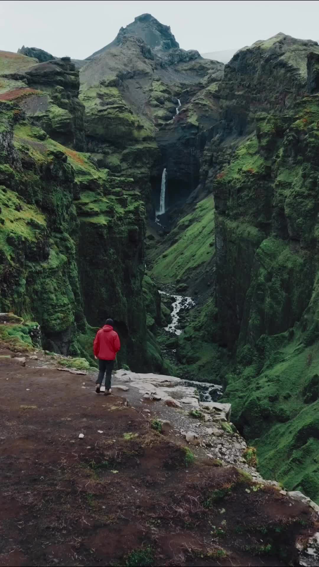 Walking at the Edge of Iceland's Fjaðrárgljúfur Canyon