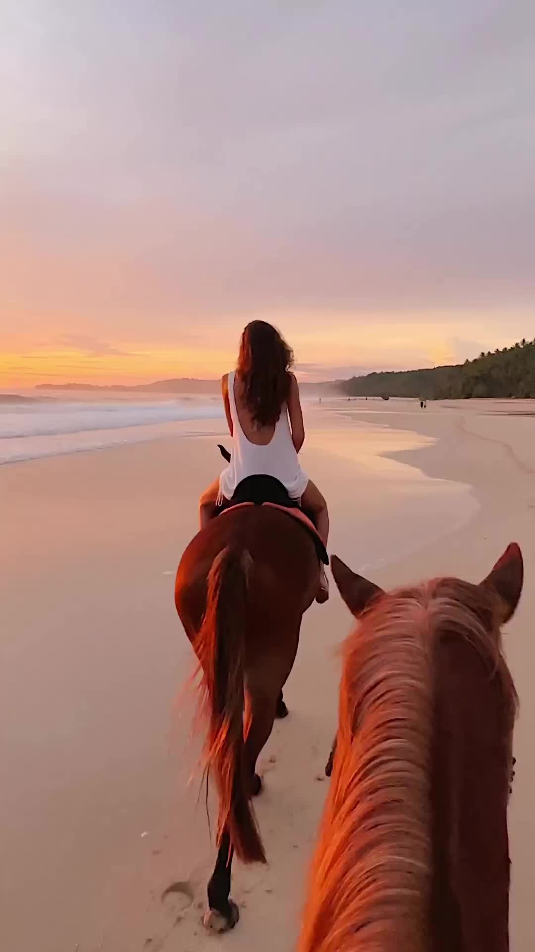 Sunset horse rides at the edge of the world ✨ @nihi

Have you ever been to Sumba?

I had this place on my bucket list for years, being able to finally visit it felt like dreaming with my eyes open
Sunset horse riding on the pristine 2.5km beach was something outta this world 🫶🏽

🎥 @conormccann

#nihi #edgeofwildness #nihisumba #sumba #indonesia #vacations #voyaged #earthpix #sunset #horseriding #travel #earth #travelandleisure #earthfocus #puravida #exploretocreate #stayandwander #travelawesome #beautifuldestinations