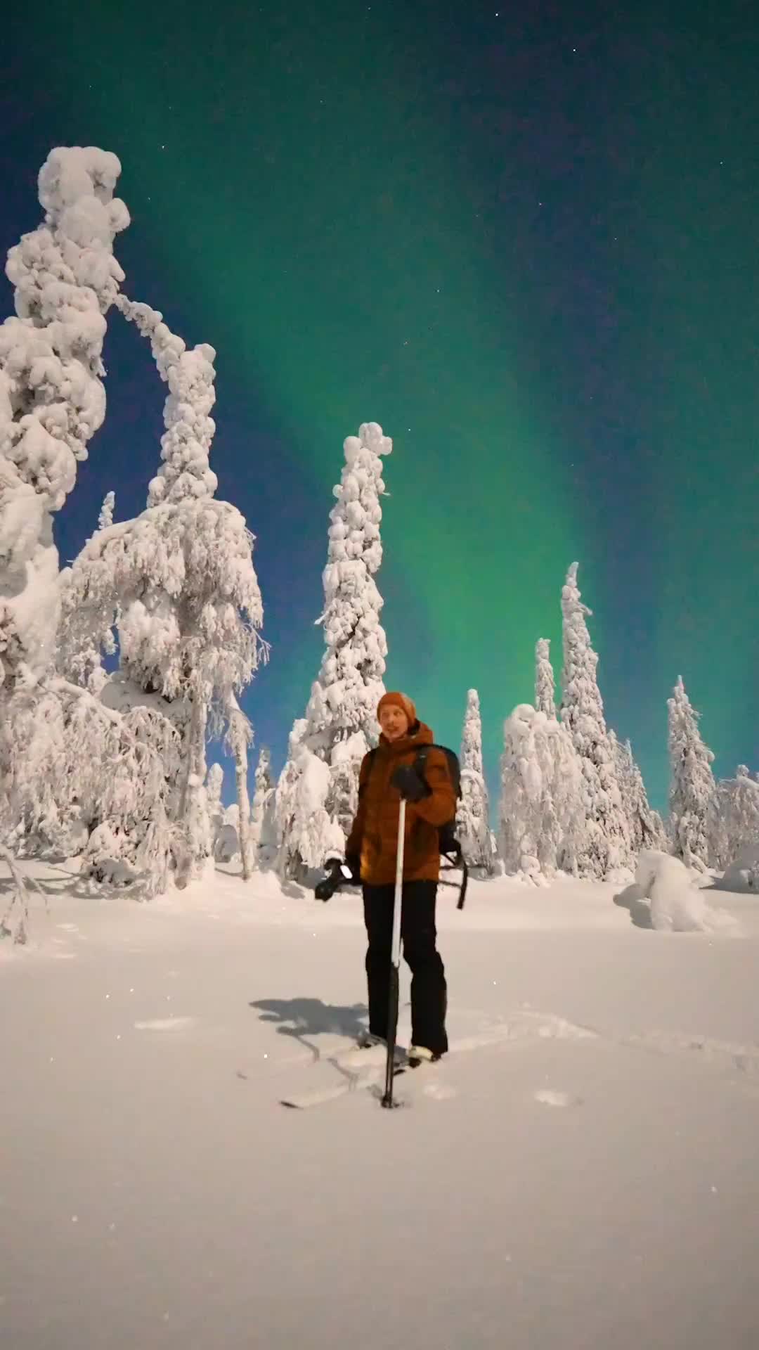 Magical January Nights in Lapland's Winter Wonderland