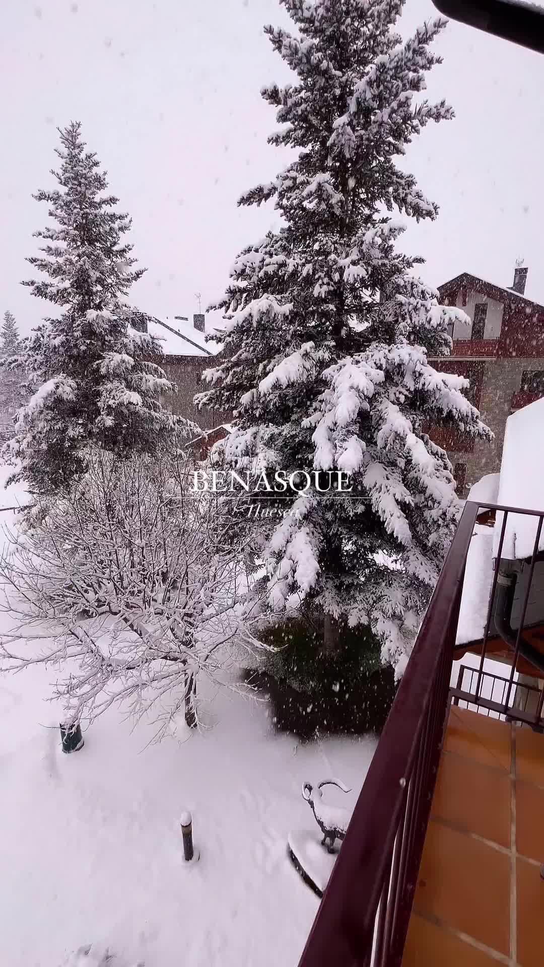 First Heavy Snowfalls in Benasque, Huesca 🌨️❄️