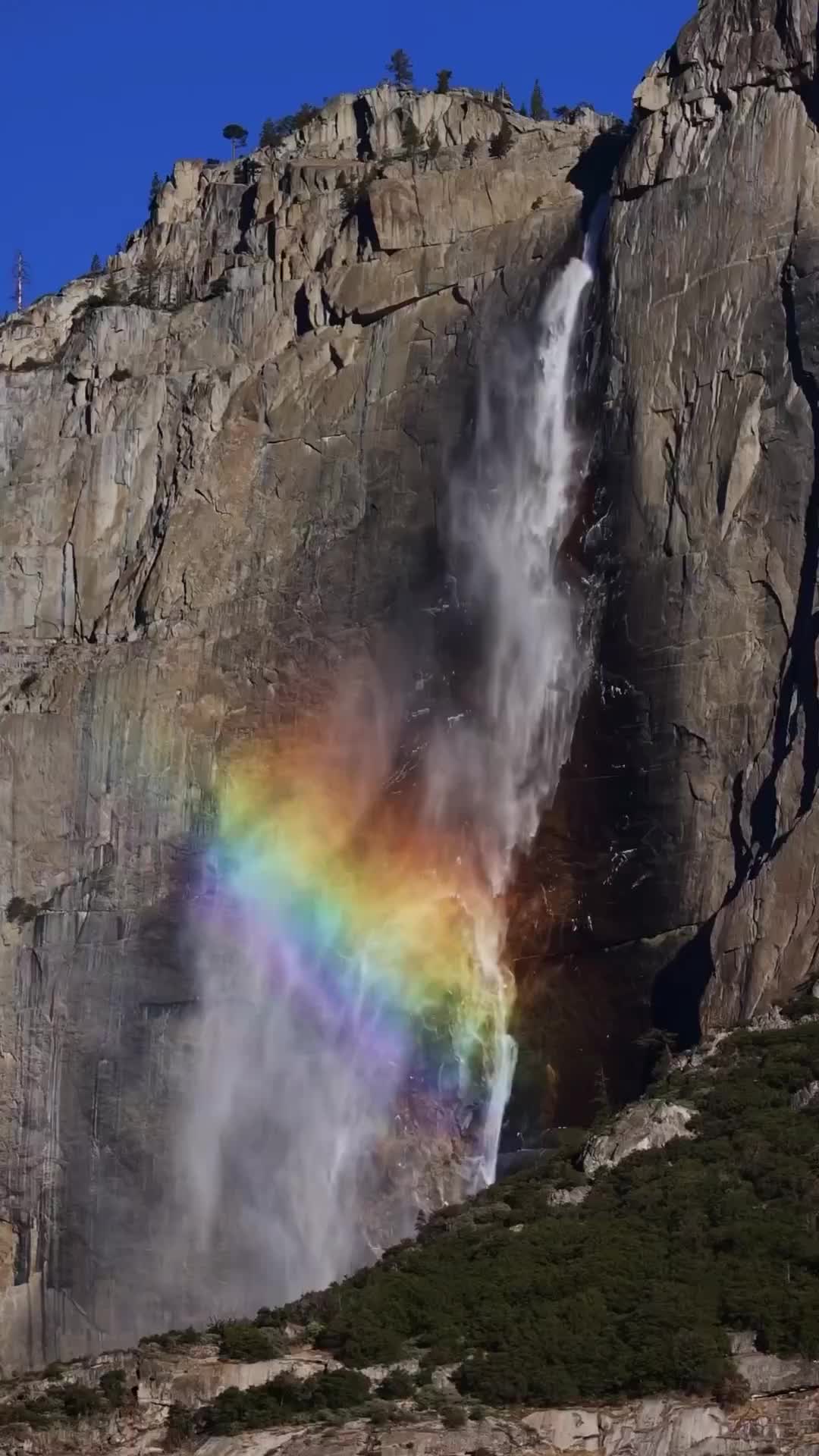 Yosemite Falls Rainbow Spectacle: Nature's Beauty