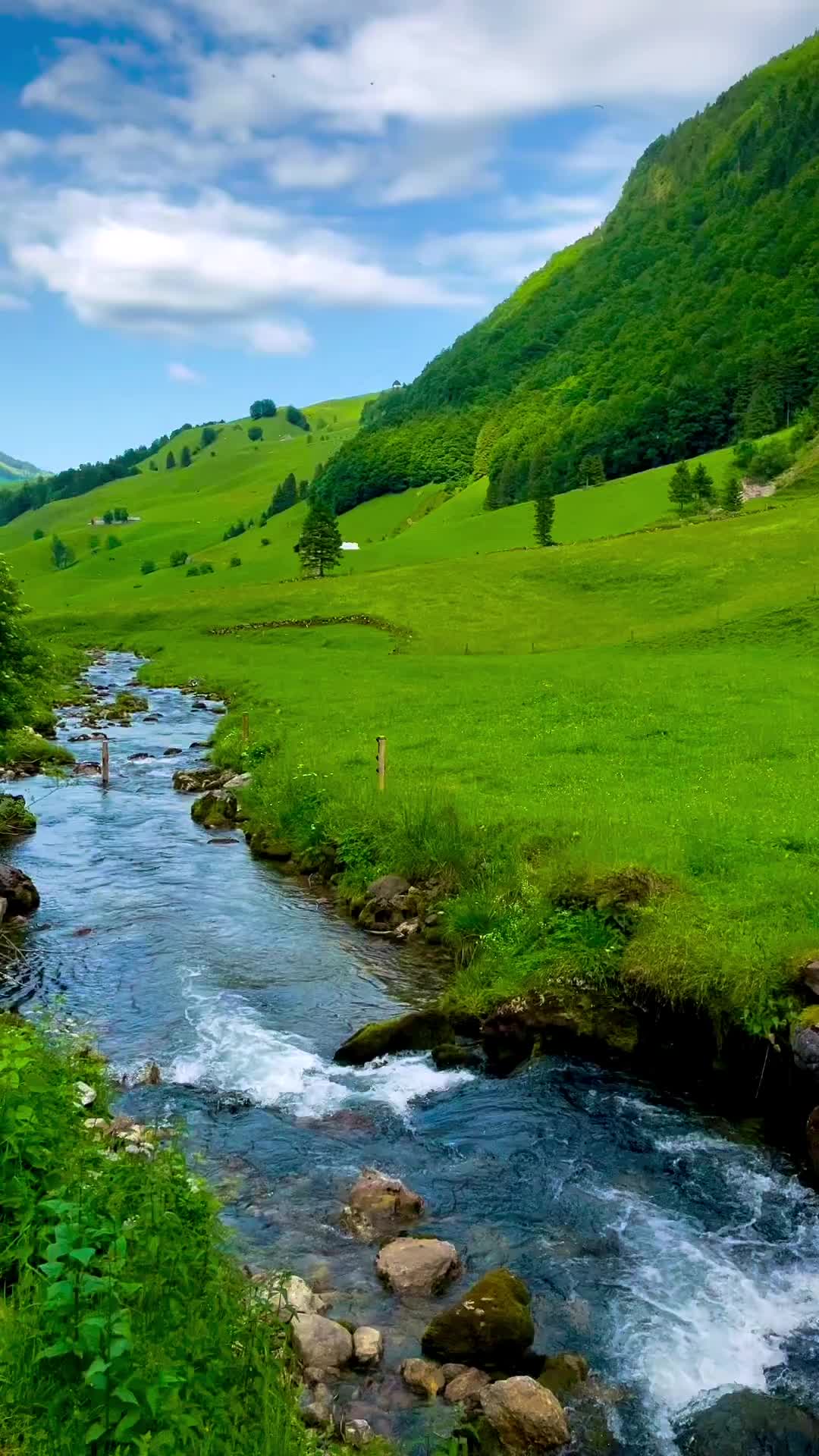 Discover the Beauty of Appenzell, Switzerland 🌄🍃