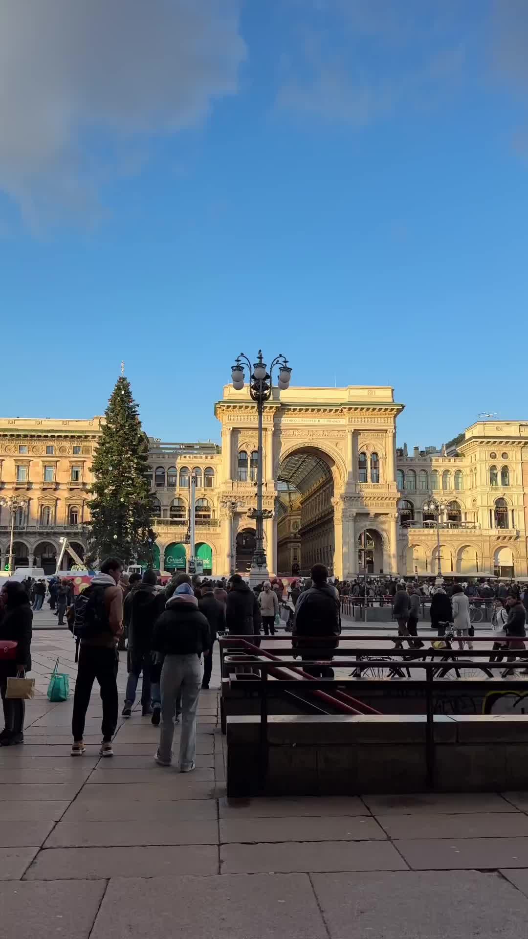 Milano Shines Bright This Holiday Season ✨